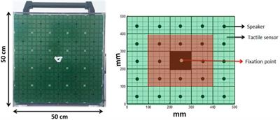 The Sound of Scotoma: Audio Space Representation Reorganization in Individuals With Macular Degeneration